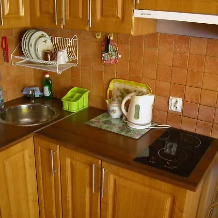 Przyjazna Apartment